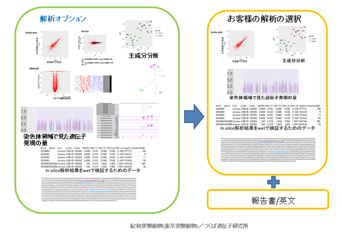 解析受託の概要